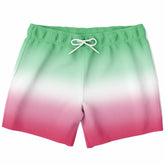 Abrosexual Pride Ombre Swim Shorts