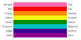 Original 8-Stripe Rainbow Pride Rectangle Enamel Pin Pin PRIDE MODE
