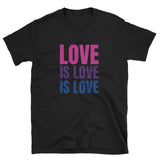 Bi Love is Love Tee Tees PRIDE MODE
