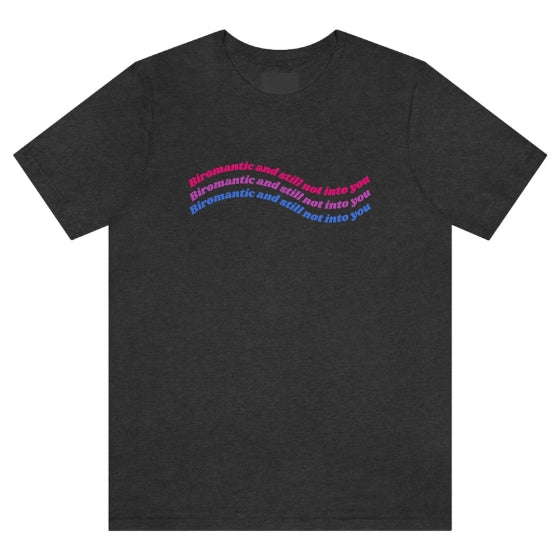 Biromantic & Still Not Into You Tee Tees PRIDE MODE