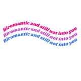 Biromantic & Still Not Into You Tee Tees PRIDE MODE