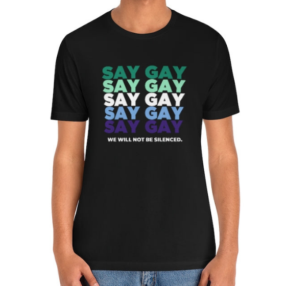 MLM Vincian Pride "Say Gay" Protest Tee Tees PRIDE MODE