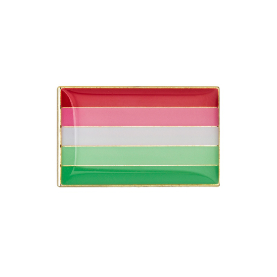 Abrosexual Pride Rectangle Enamel Pin Pin PRIDE MODE