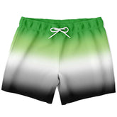 Aromantic Pride Ombre Swim Shorts Swim Shorts PRIDE MODE