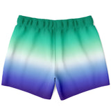 Gay MLM Vincian Pride Ombre Swim Shorts