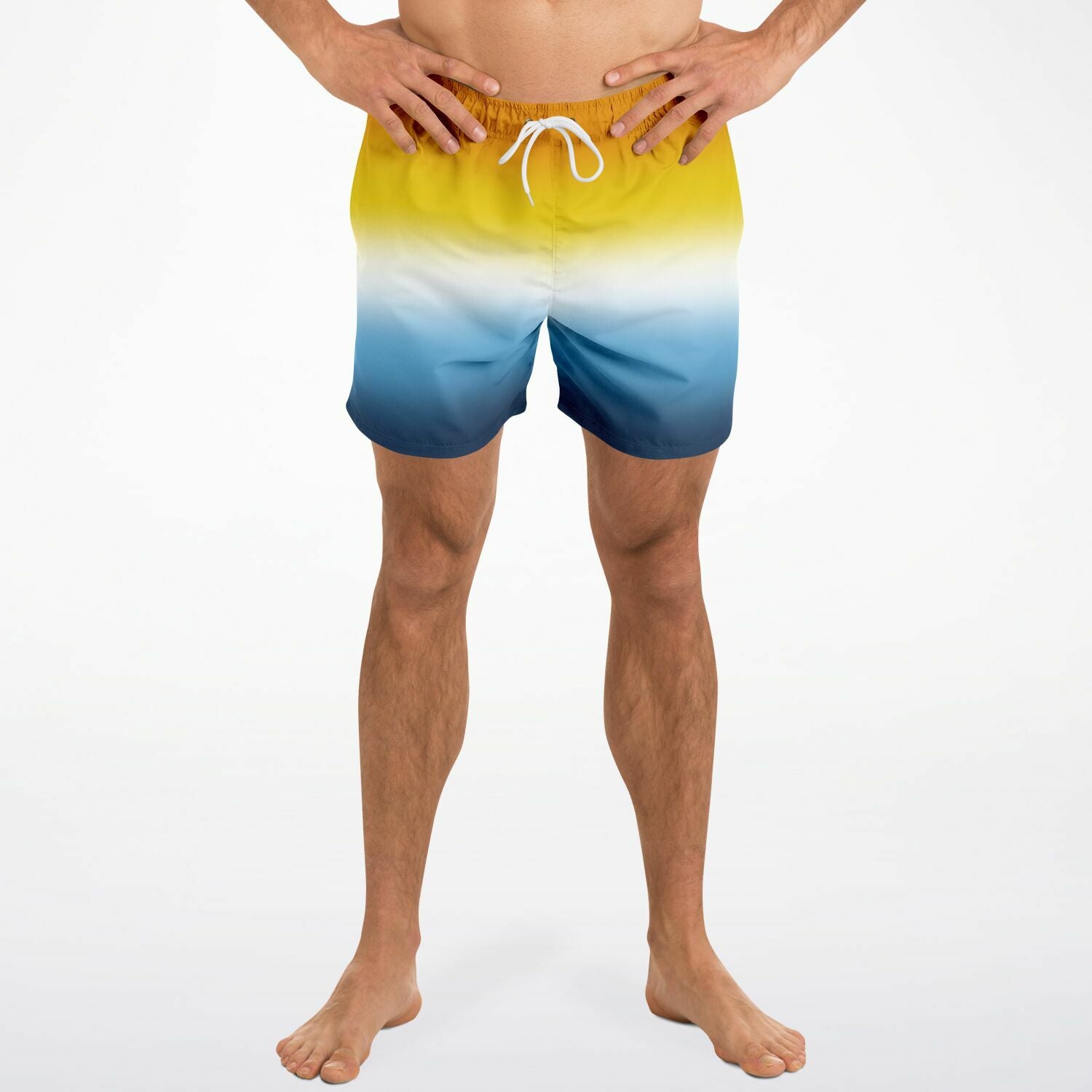 Aroace Pride Ombre Swim Shorts