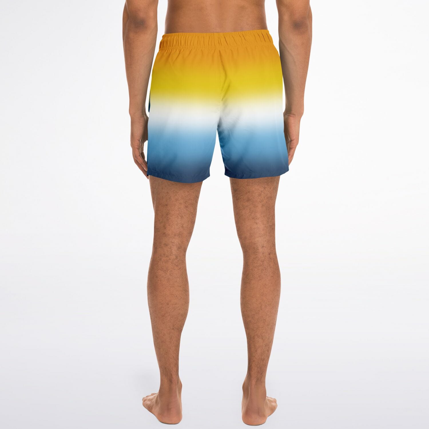 Aroace Pride Ombre Swim Shorts