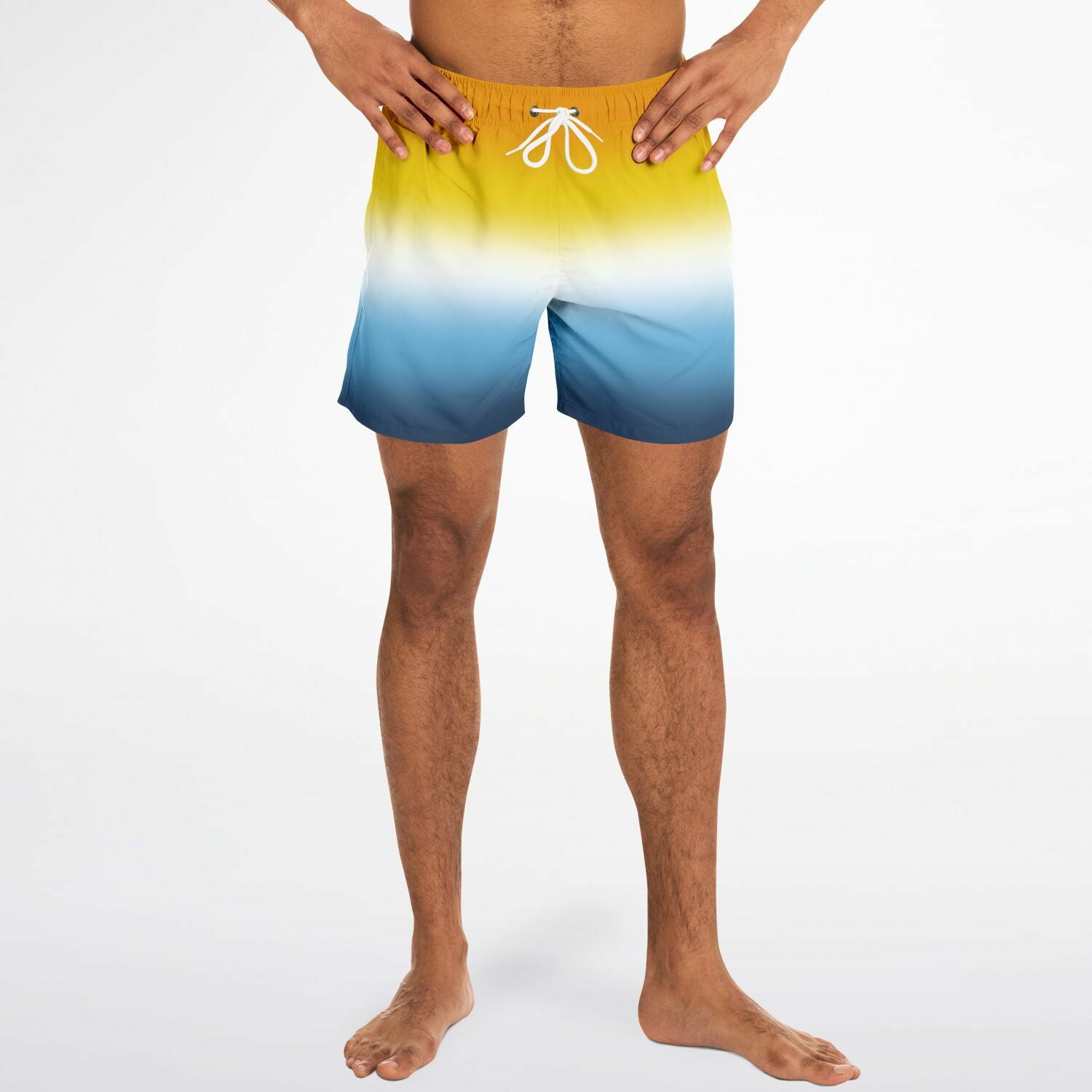 Aroace Pride Ombre Swim Shorts