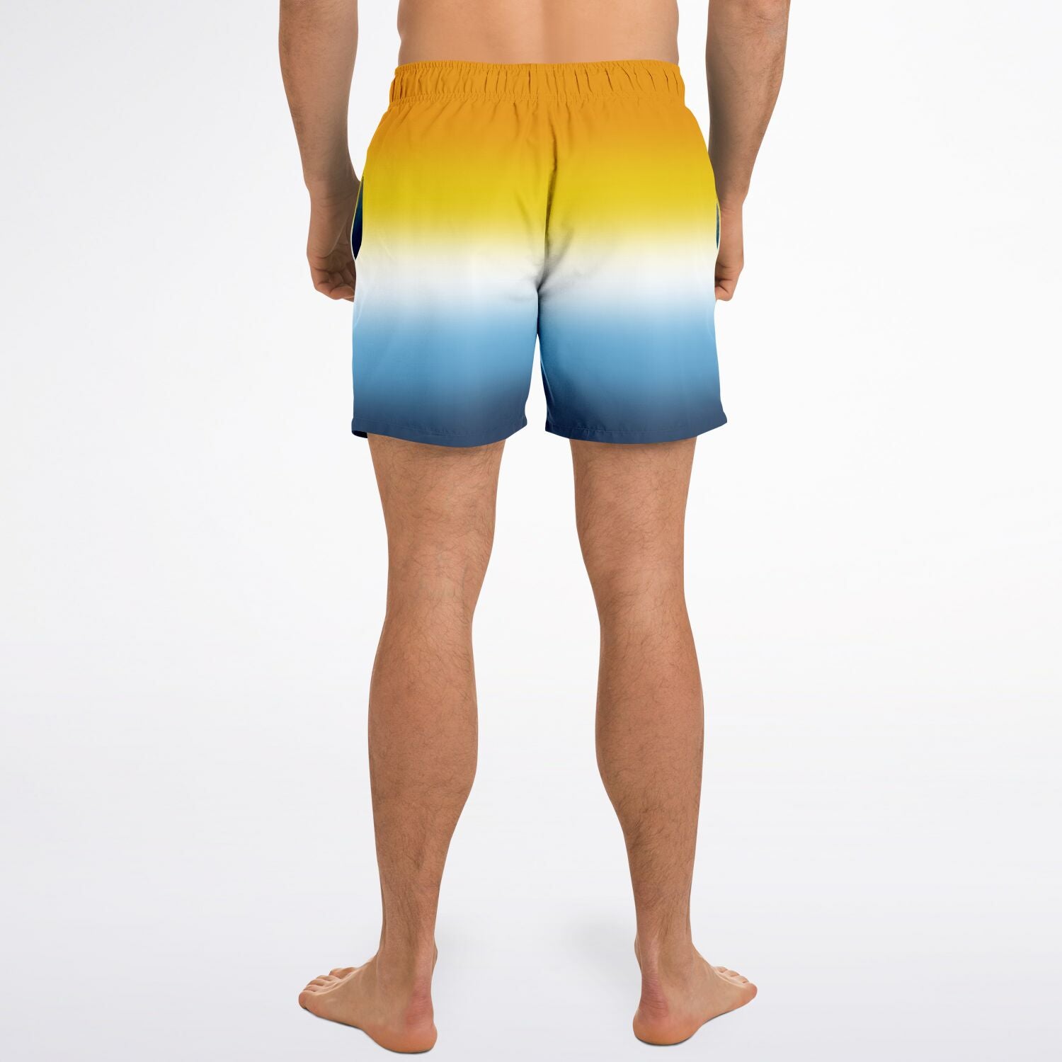 Aroace Pride Ombre Swim Shorts