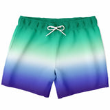 Gay MLM Vincian Pride Ombre Swim Shorts