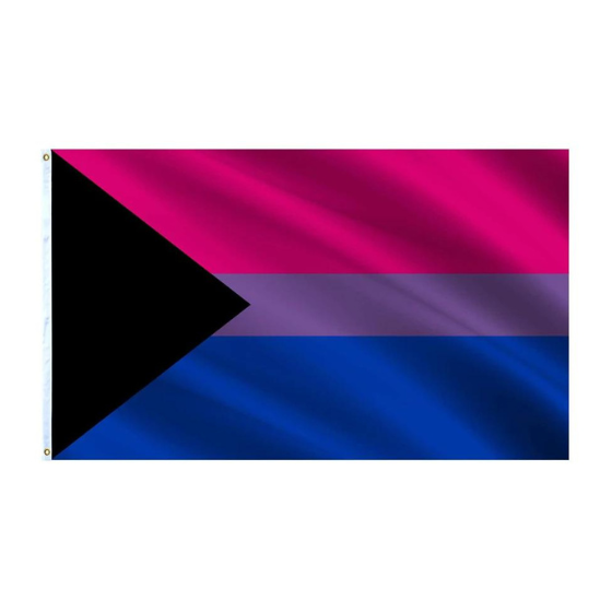 Demi-Bisexual Pride Flag