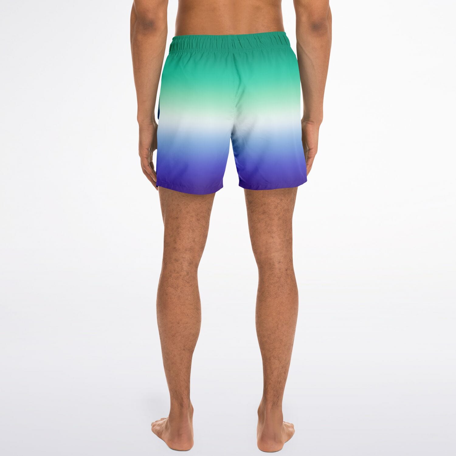 Gay MLM Vincian Pride Ombre Swim Shorts