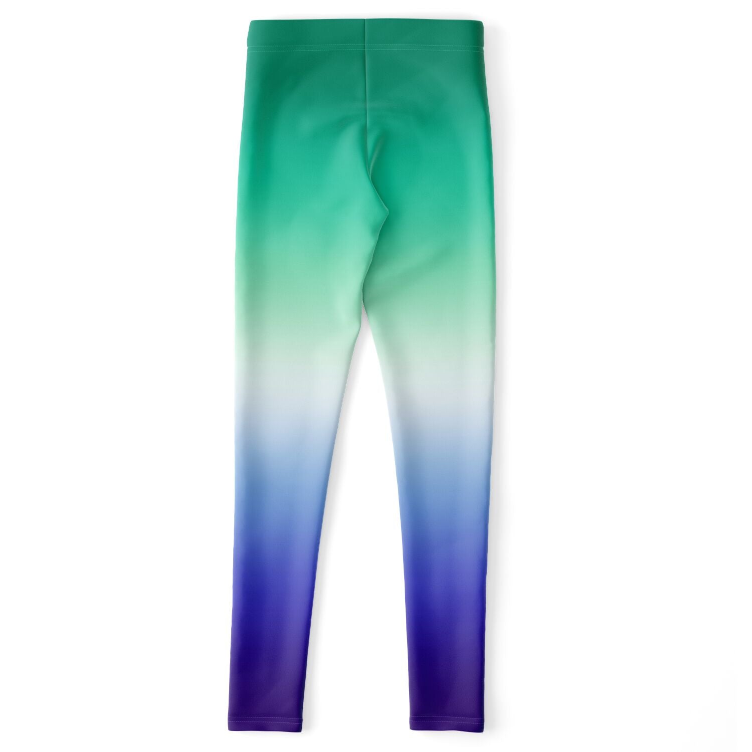 Gay MLM Vincian Pride Ombre Leggings