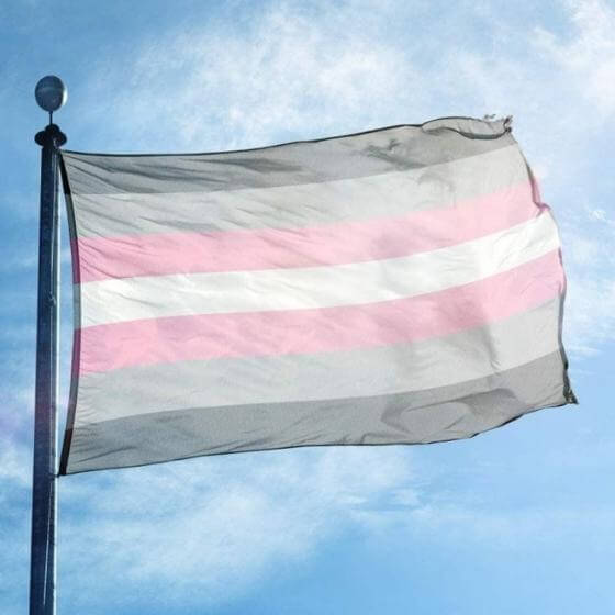 Demigirl Pride Flag Flag PRIDE MODE