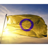Intersex Pride Flag Flag PRIDE MODE