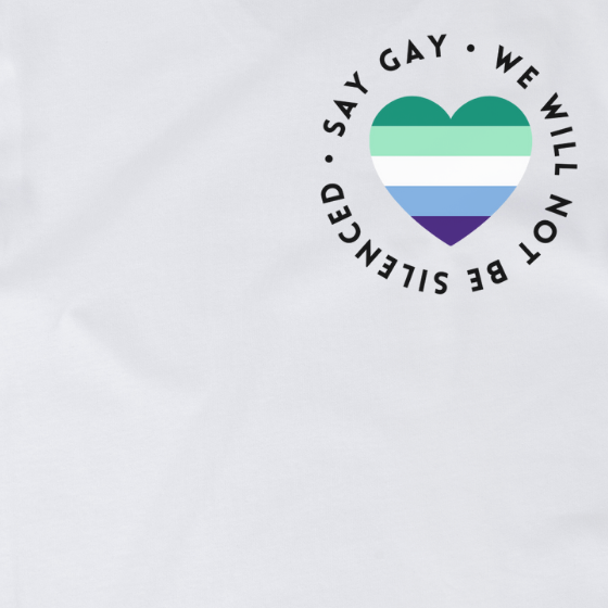 MLM Vincian Pride Heart "Say Gay" Protest Tee Tees PRIDE MODE