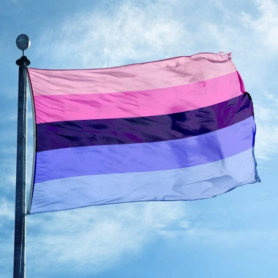 Omnisexual Pride Flag Flag PRIDE MODE