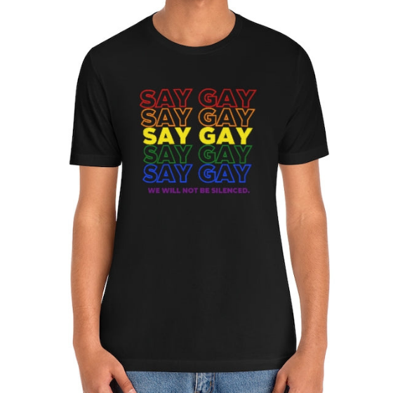 Rainbow "Say Gay" Protest Tee Tees PRIDE MODE